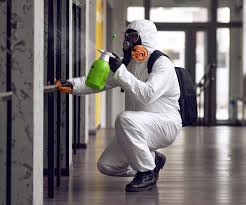 Why You Should Choose Our Mold Remediation Services in Ellis, KS